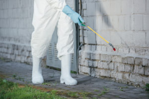 Exterminator spraying for pests outside building