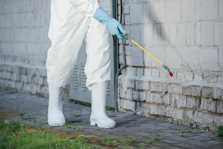 Pest Control Exterminator Bountiful, Utah Bug Busters