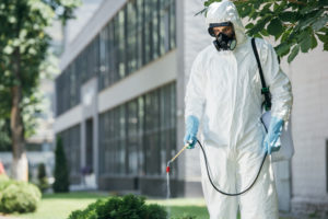 Pest control technician spraying bushes outside building