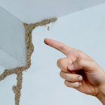 telltale signs termite infestation
