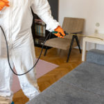 silverfish prevention professional removal
